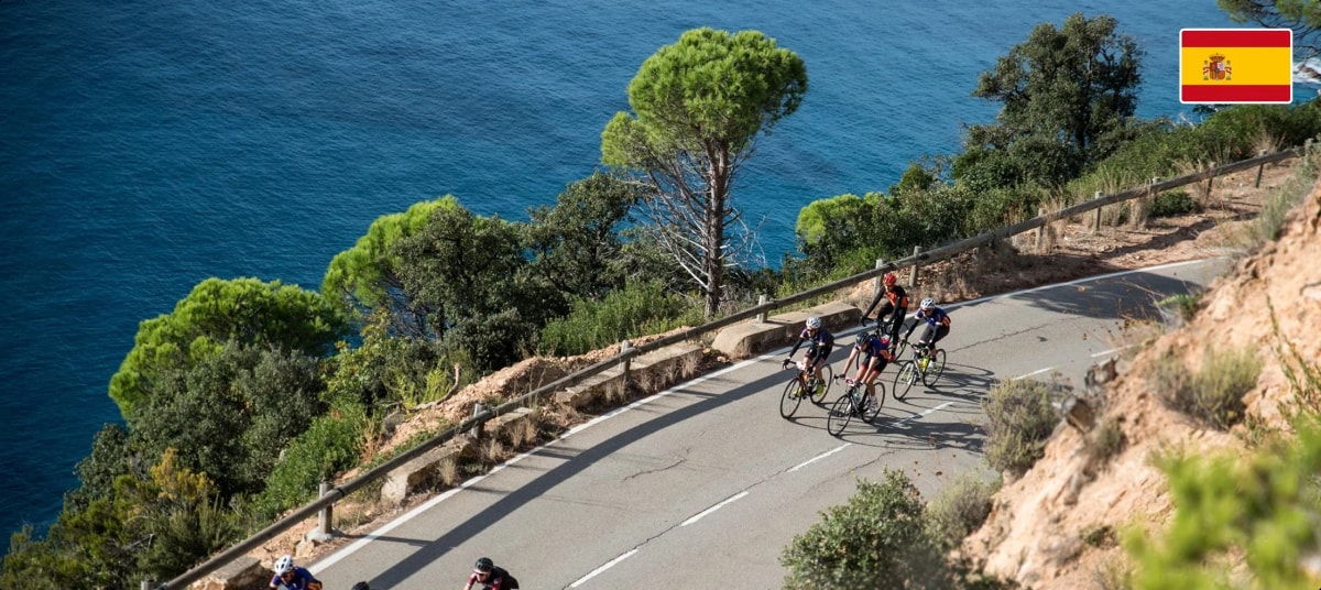 Sea Otter Cyclobrava